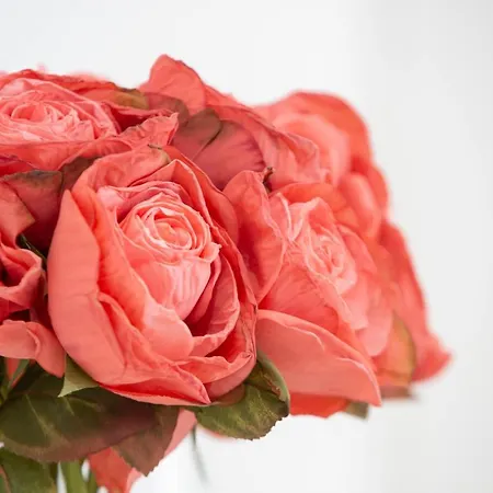 Delmar I Appartement *