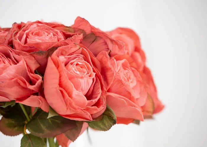 Delmar I Lejlighed *